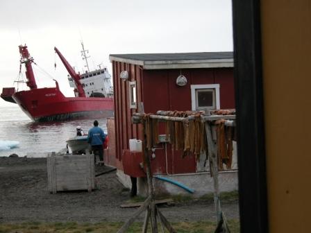 Royal Arctic l&aelig;sser varer