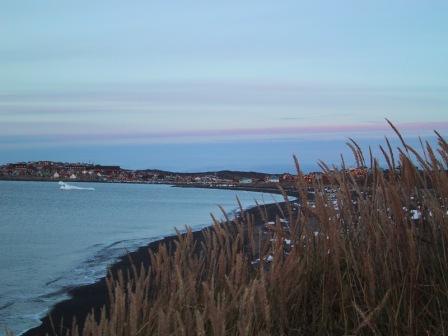 Qeqertarsuaq